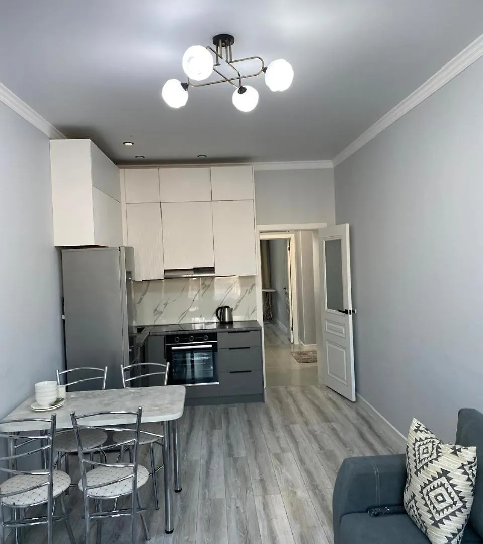 Tandau Просторная Евродвушка В Центре Астаны Nur-Sultan  Apartment